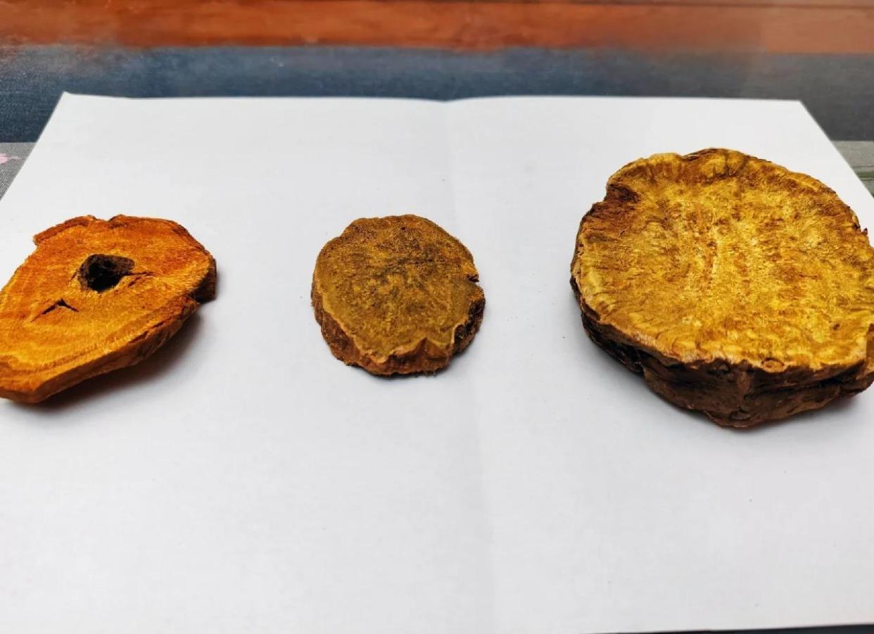 唐古特大黄、掌叶大黄和药用大黄的区别