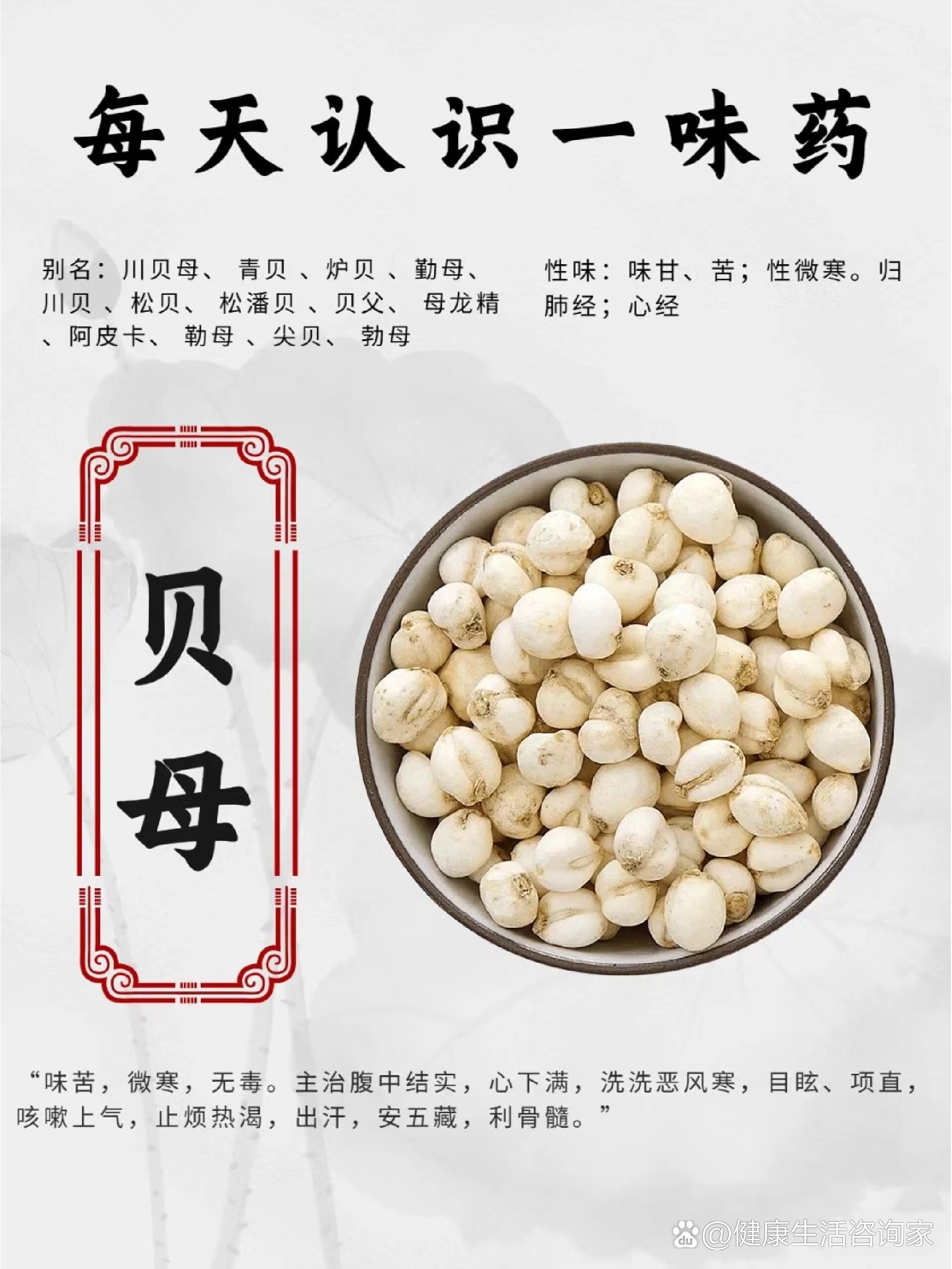  p>每天一味中药--贝母 br>川贝为百合科植物川贝母,暗紫贝母,甘肃