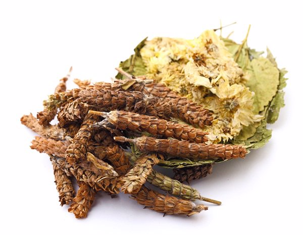 代代花中药别名叫什么
