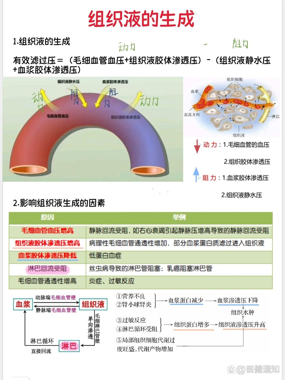 组织液有效滤过压图解图片