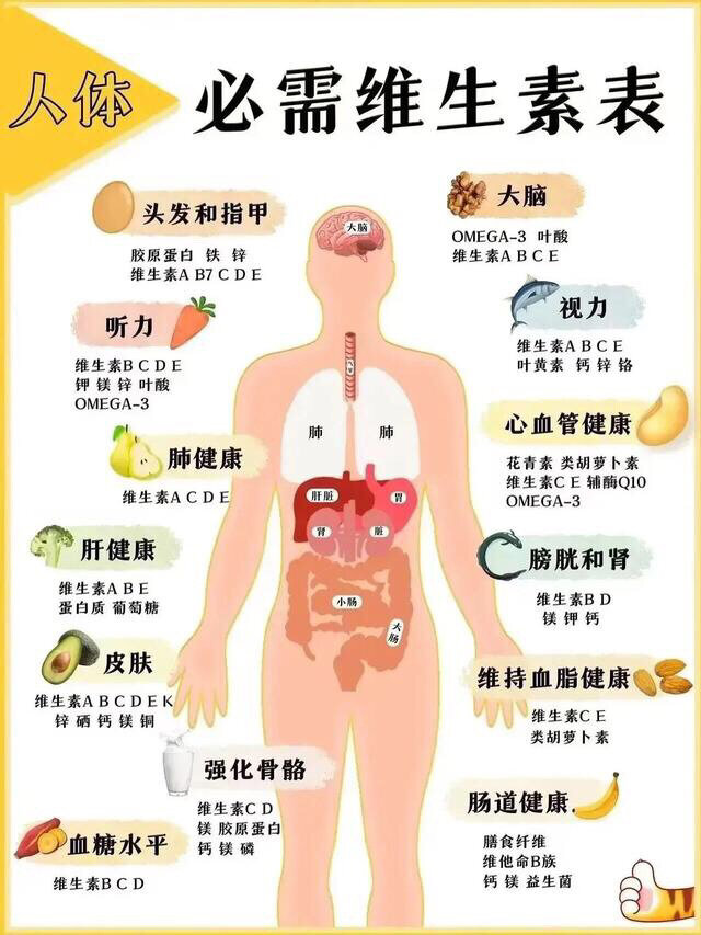 人体每日营养标准图图片