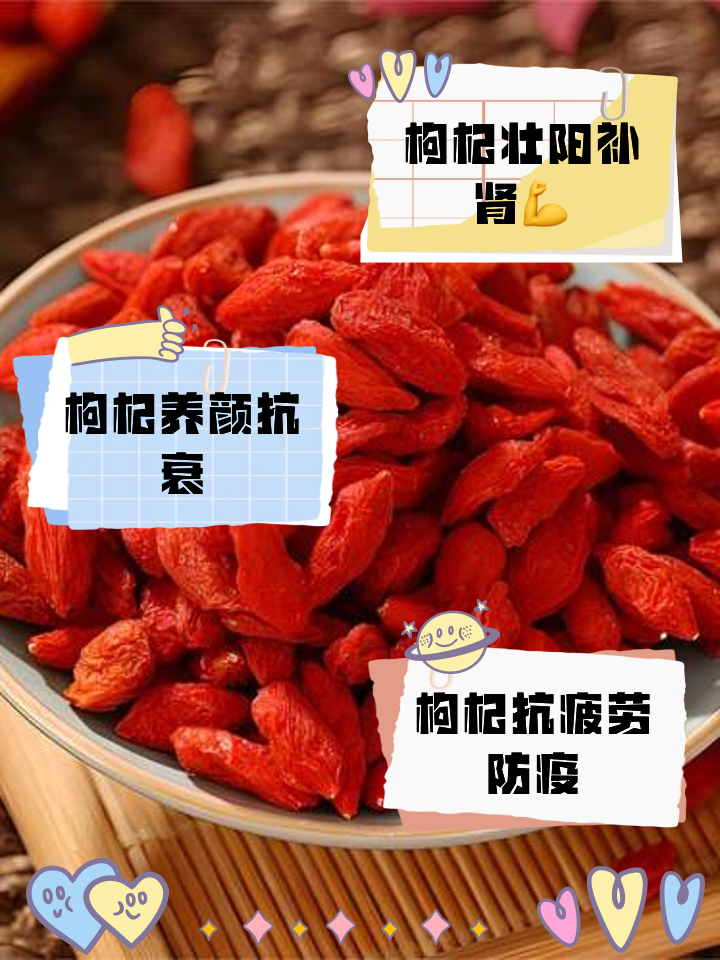 长期吃枸杞子的功效与作用