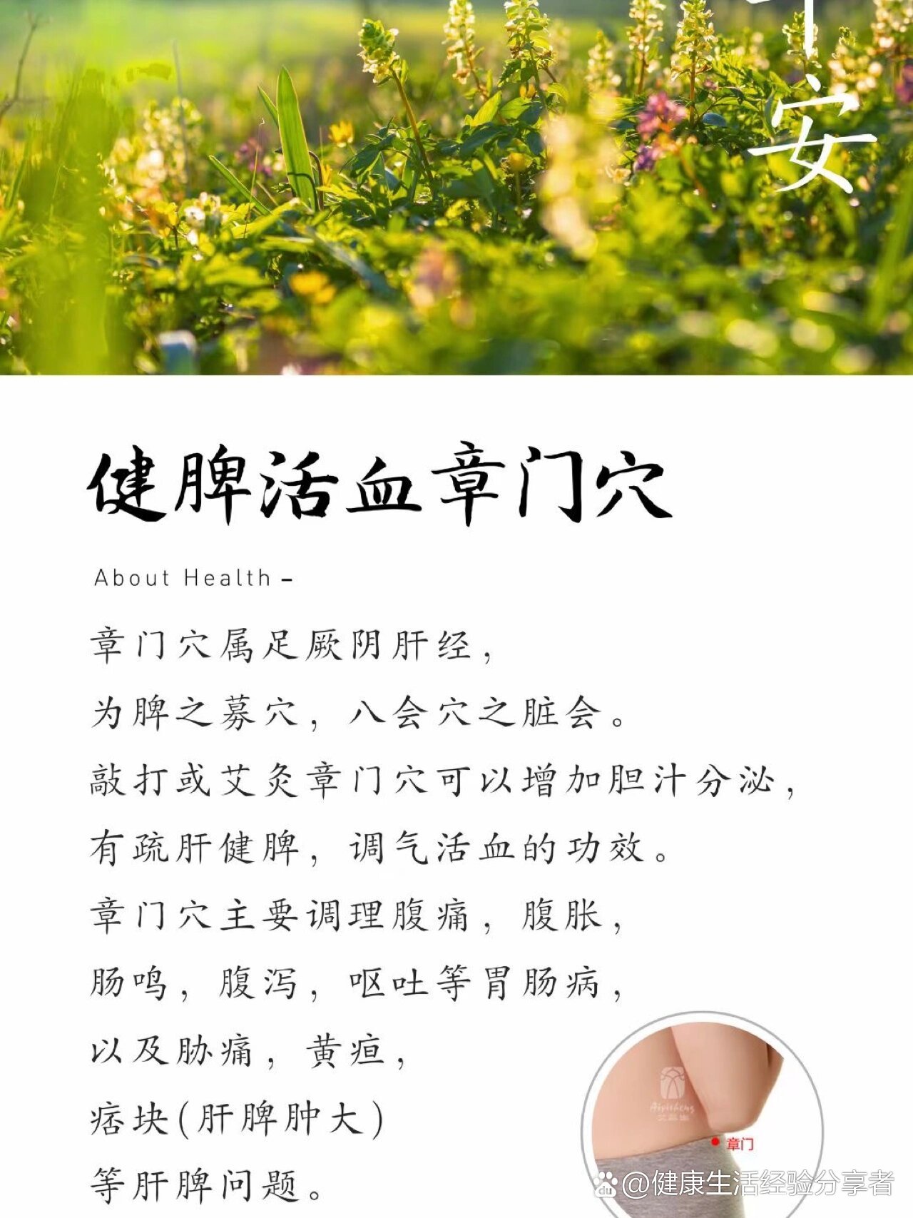  p>【健脾活血章门穴】 br>章门穴属足厥阴肝经