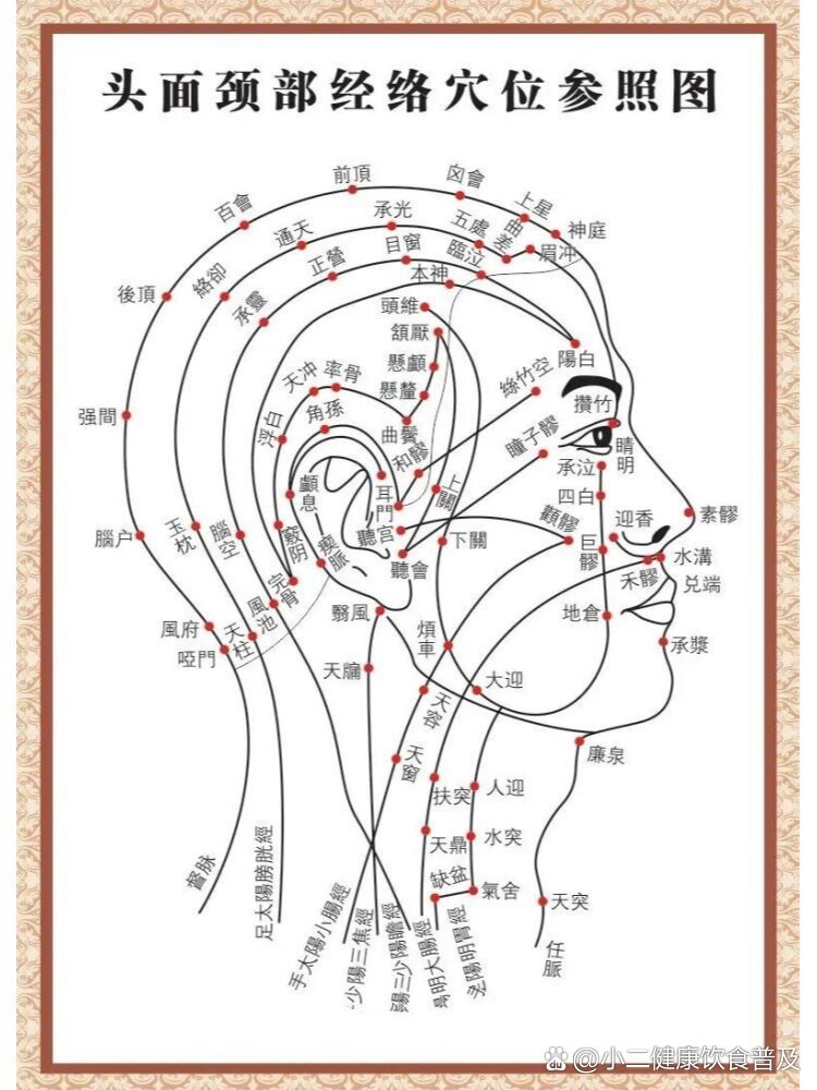 肝经头部经络图解图片