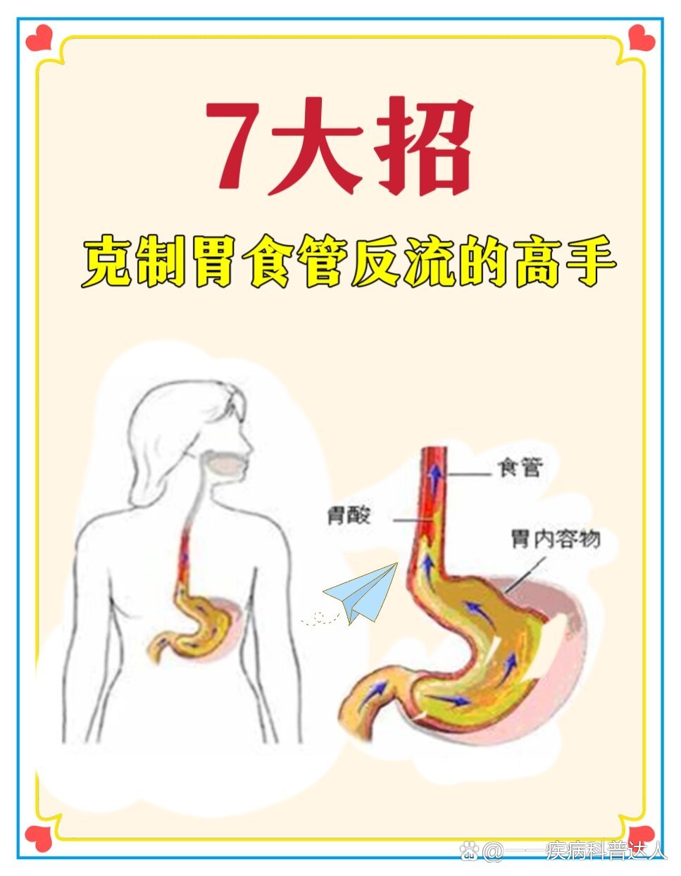 食管有多长图片