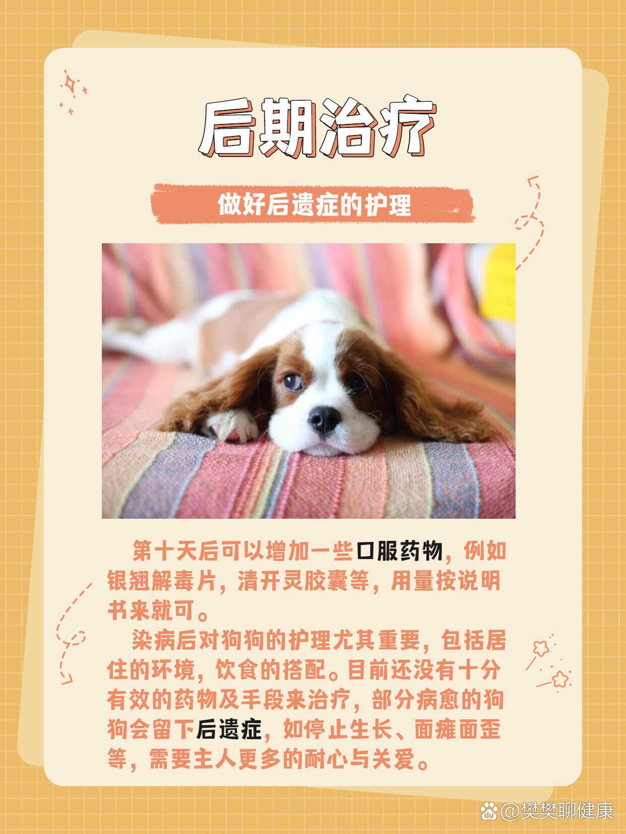 犬瘟热怎么治71