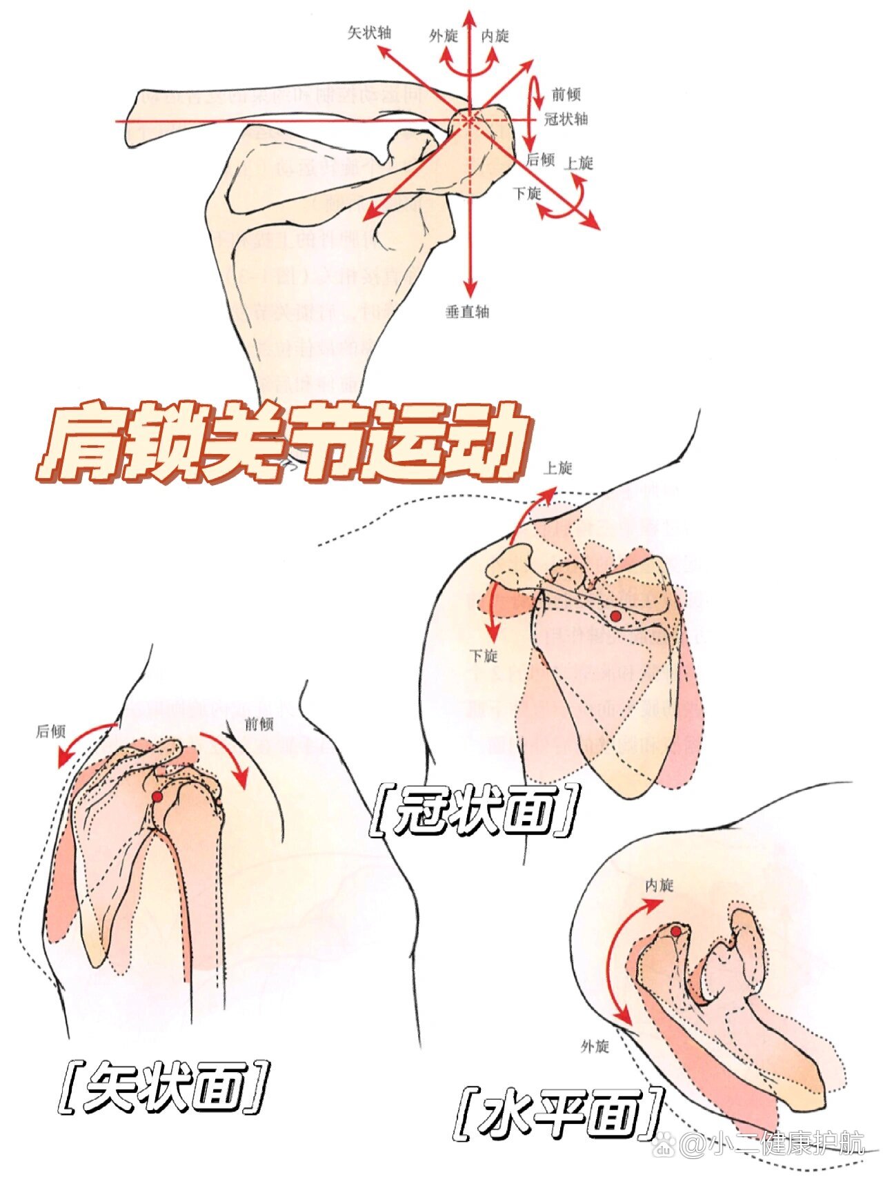 关节突交锁示意图图片