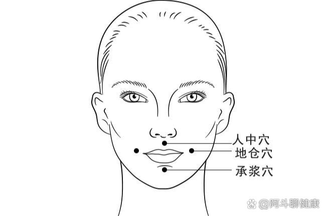每天认识一穴位95地仓穴93祛风止痛