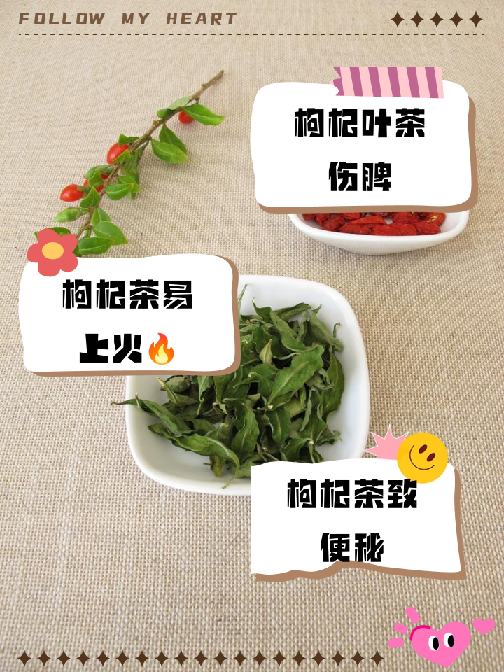 枸杞叶茶6大害处