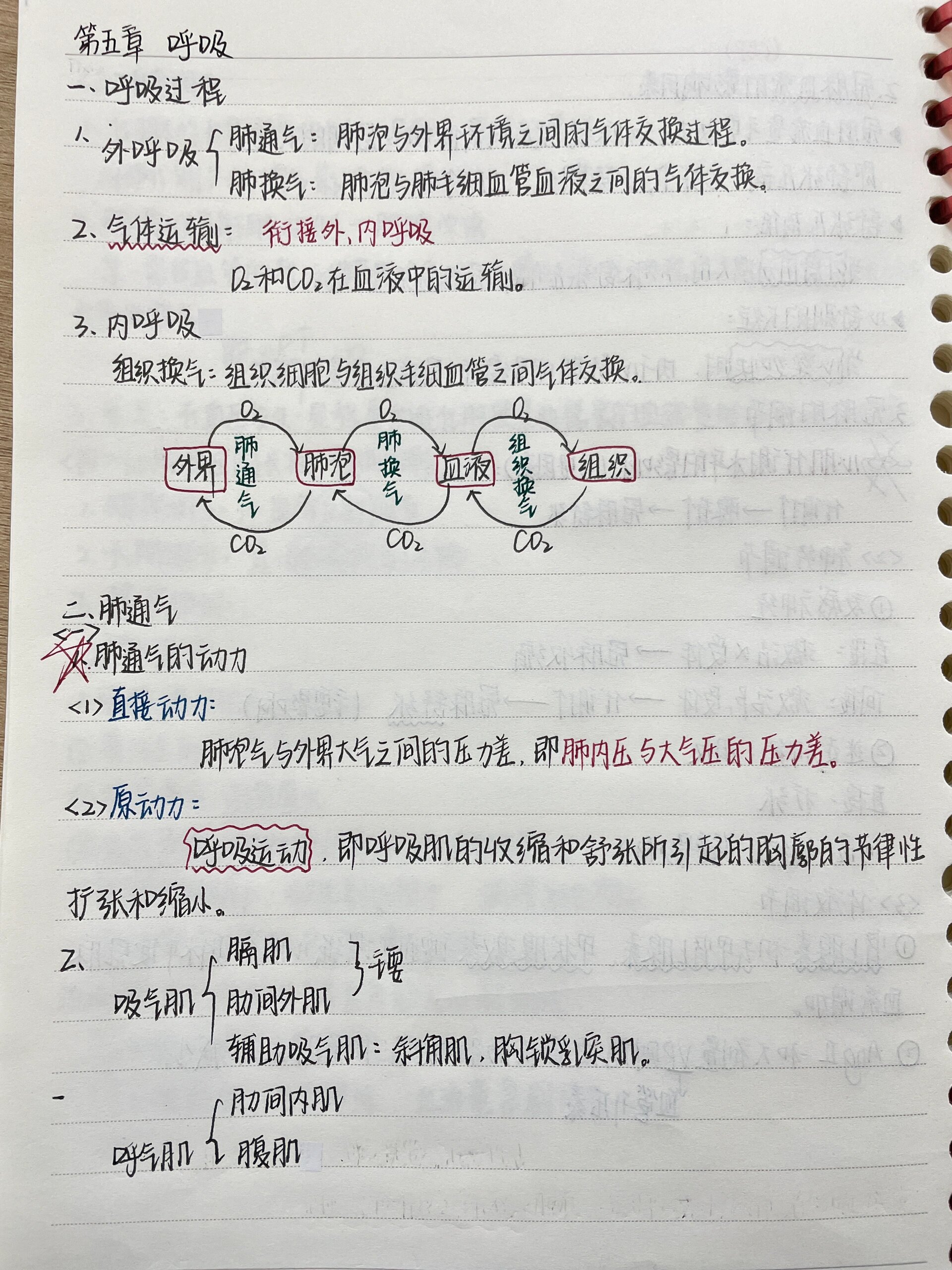 牵张反射例子图片