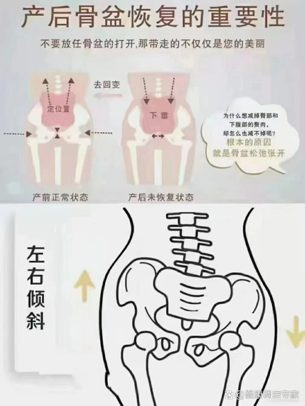 骨盆的重要标志图片