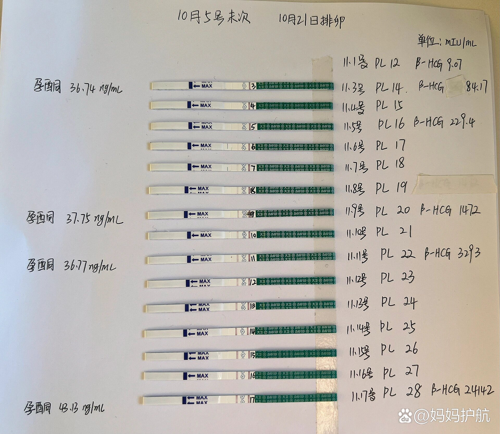 早孕试纸对照图 hcg图片