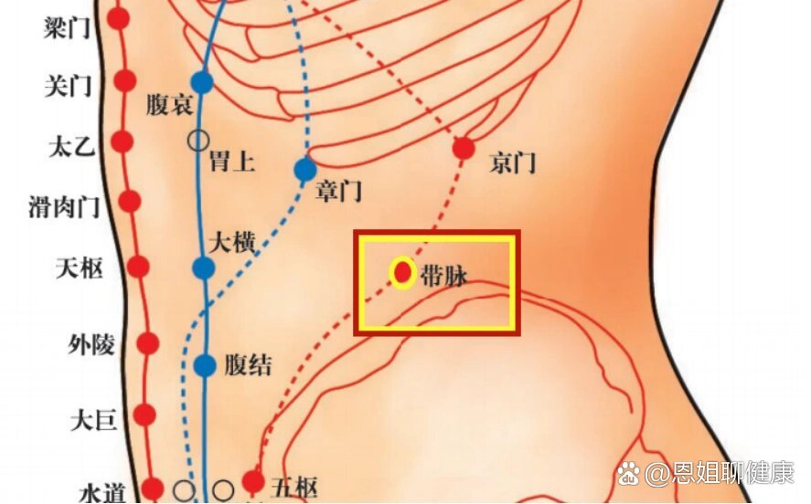 敲带脉