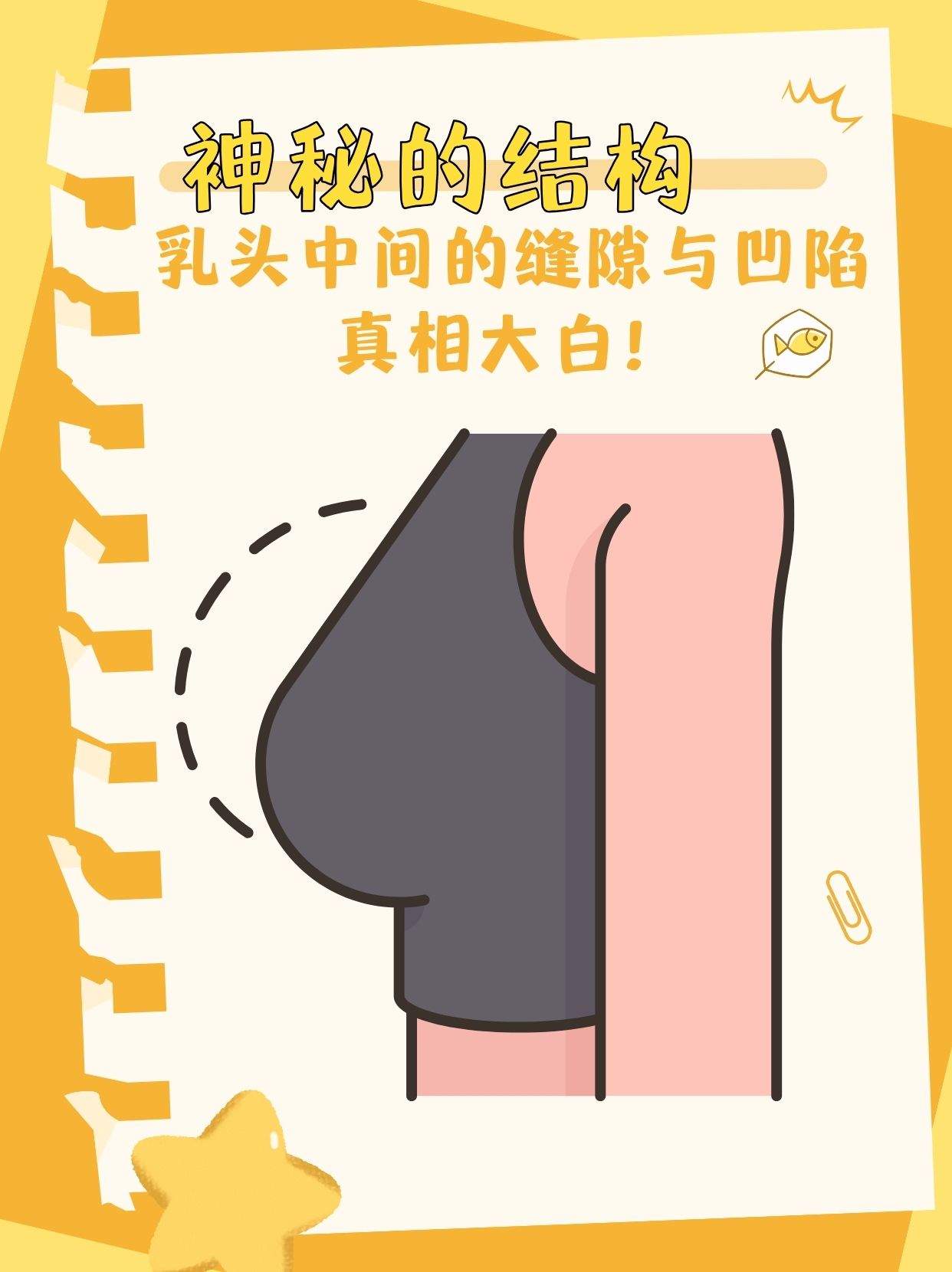 乳头正常真实有多大图片