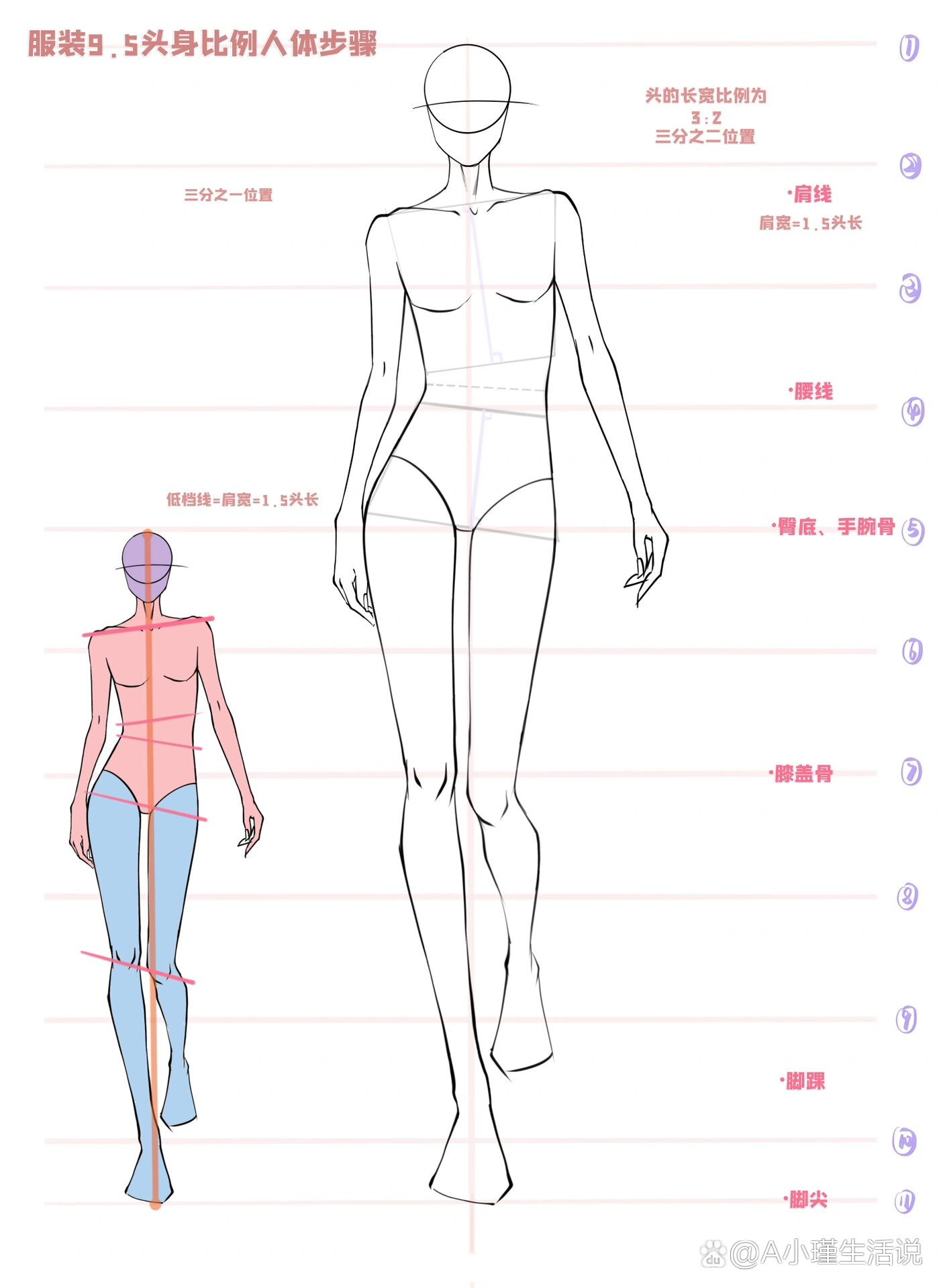 七头身画法图片