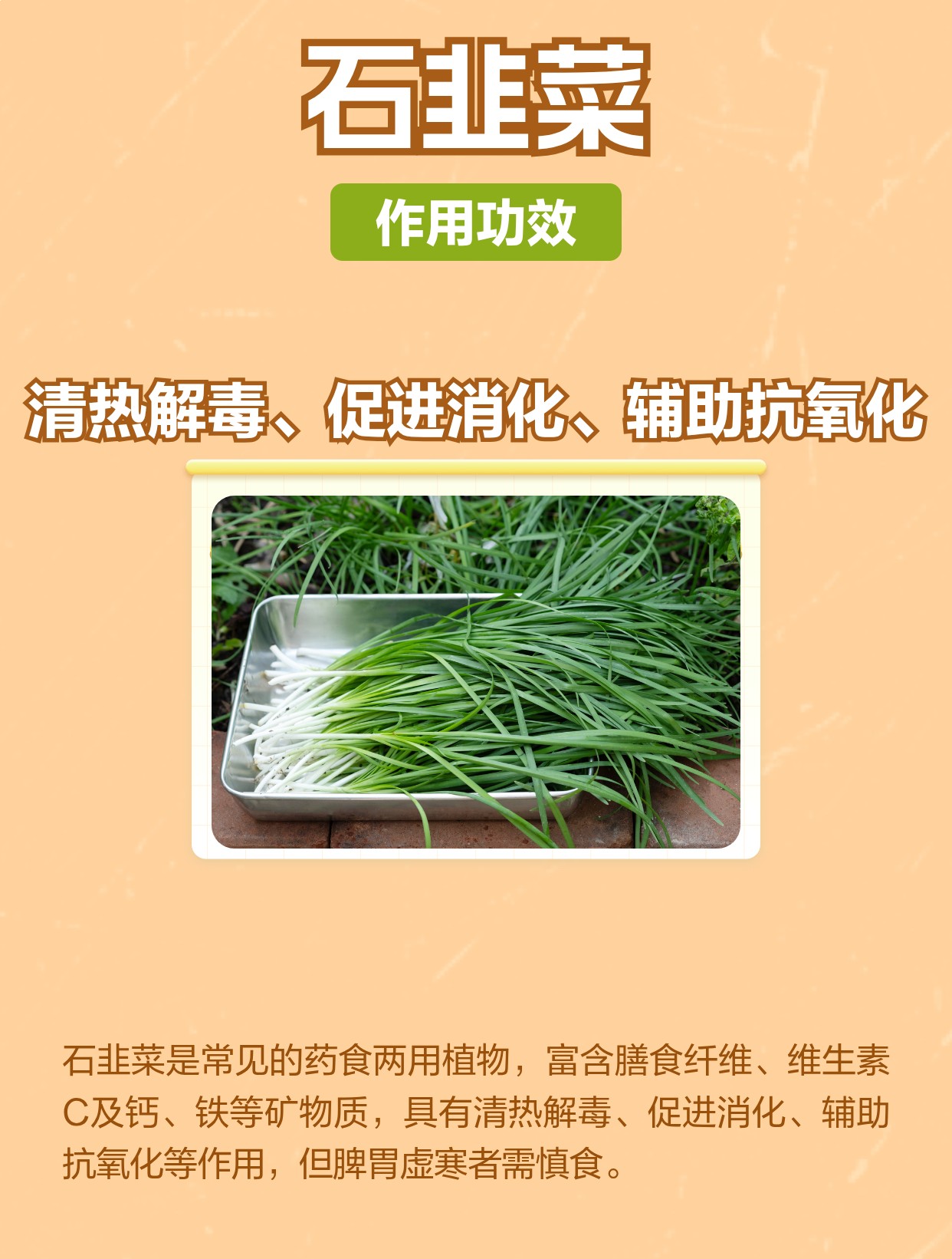 石韭菜的功效与作用及禁忌| 百度健康·医学科普