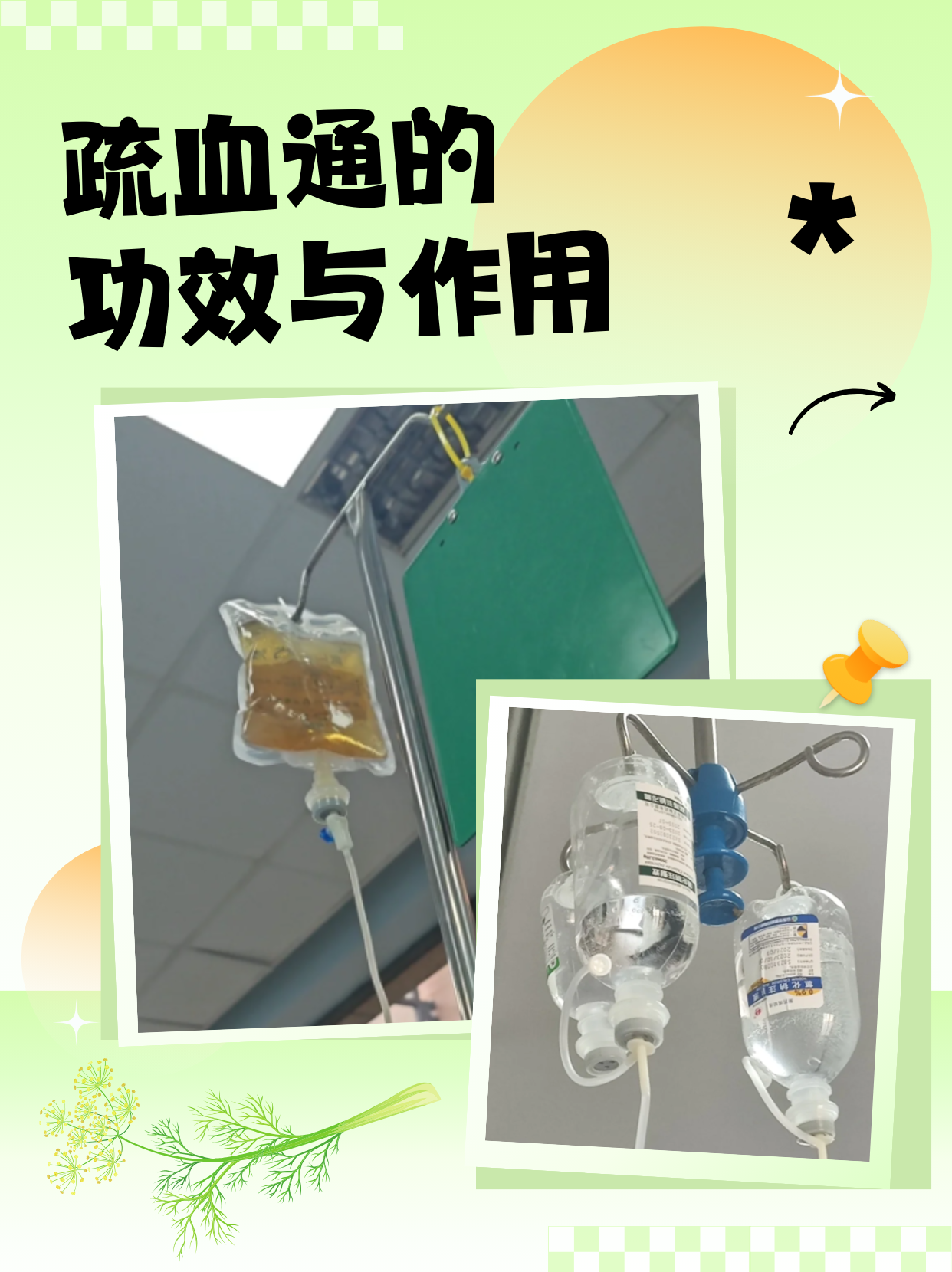 涨知识!疏血通的功效与作用