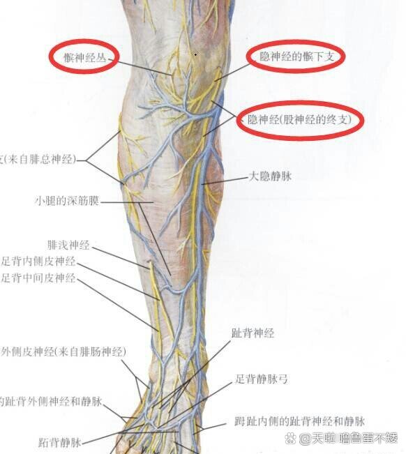 什么是隐神经痛综合征?