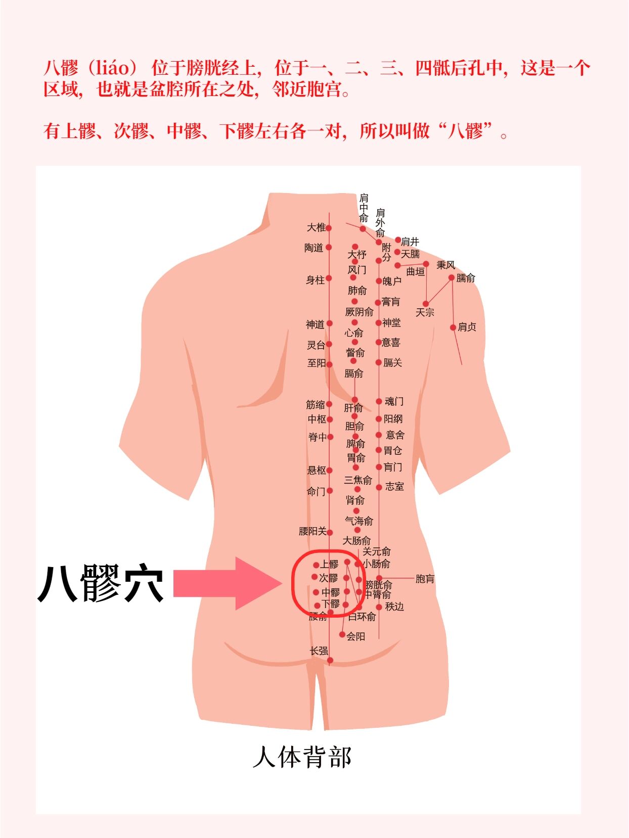 八髎的准确位置图尺寸图片