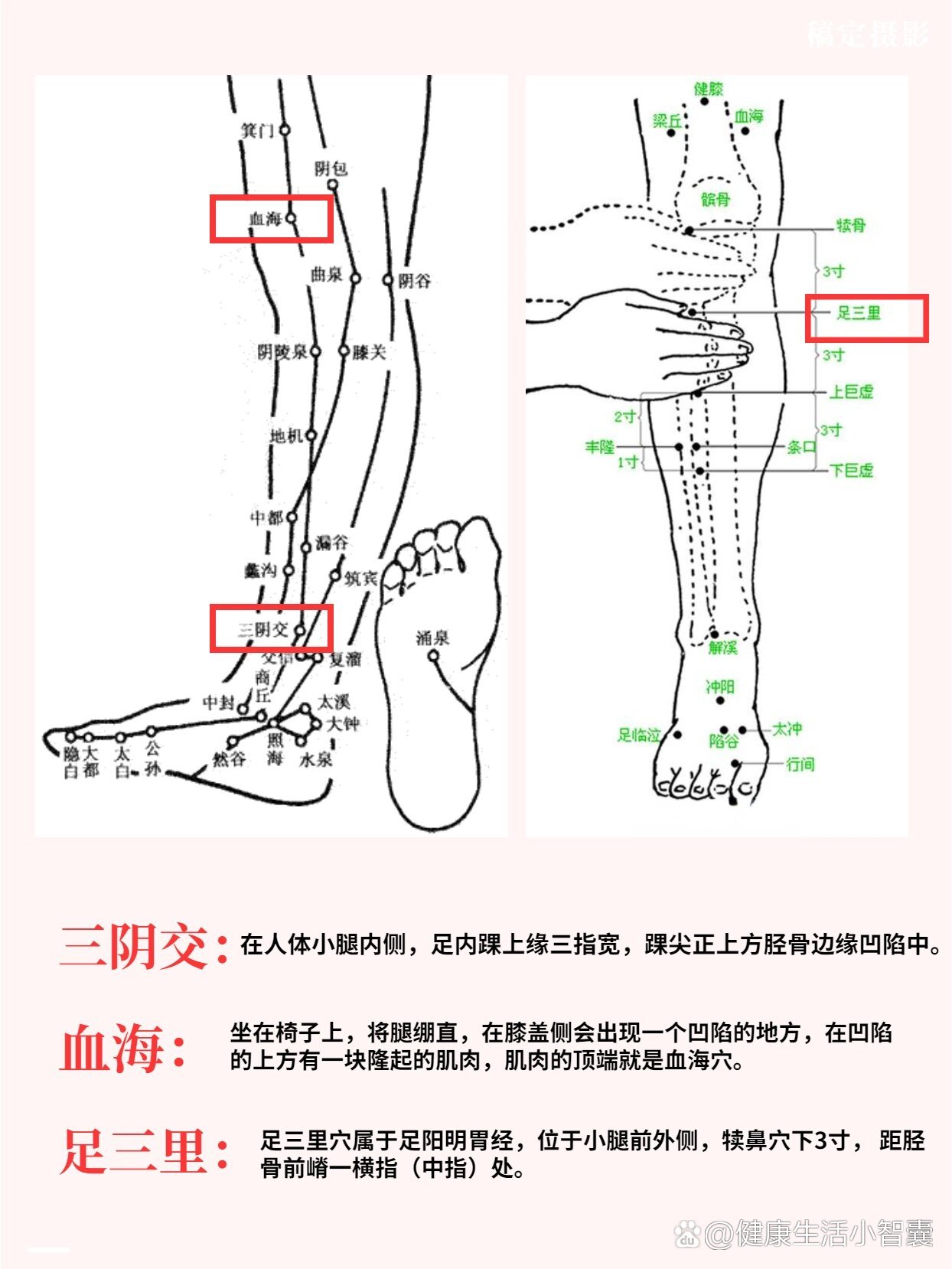 养生——带脉穴瘦腰瘦小腹75内调白带73