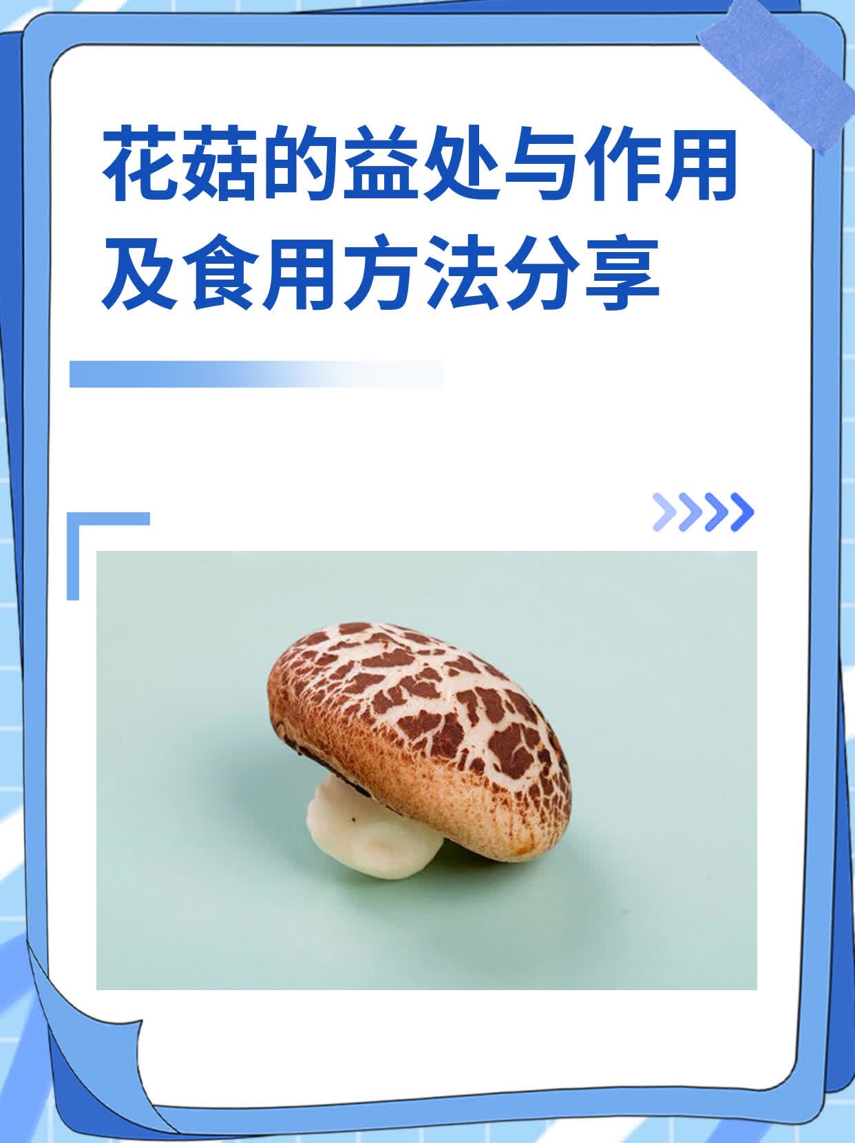 花菇的益处与作用及食用方法分享