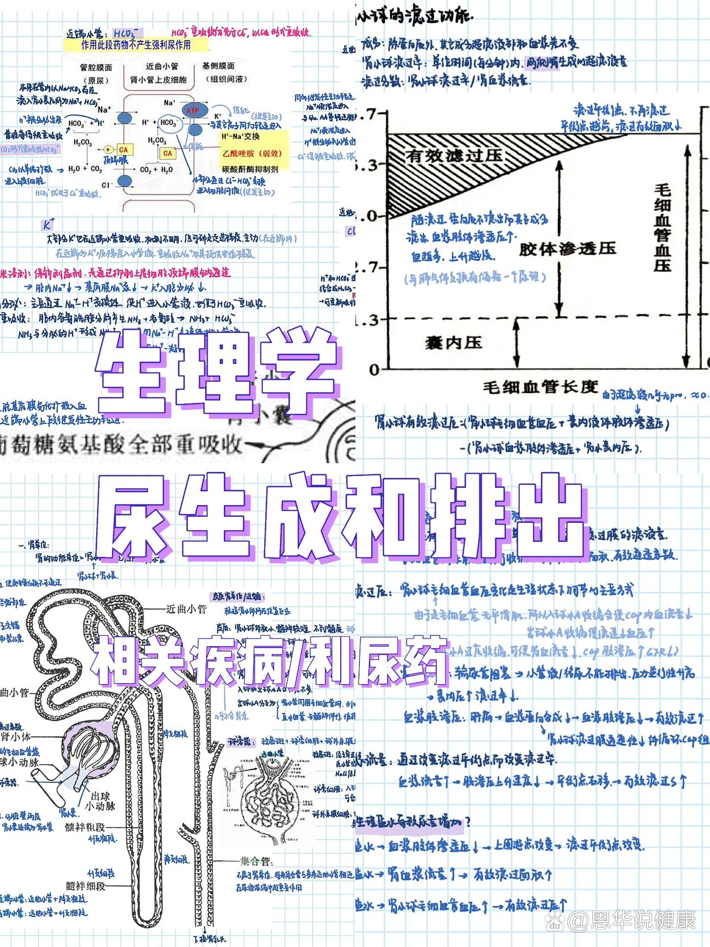 达比加群酯药理机制图片