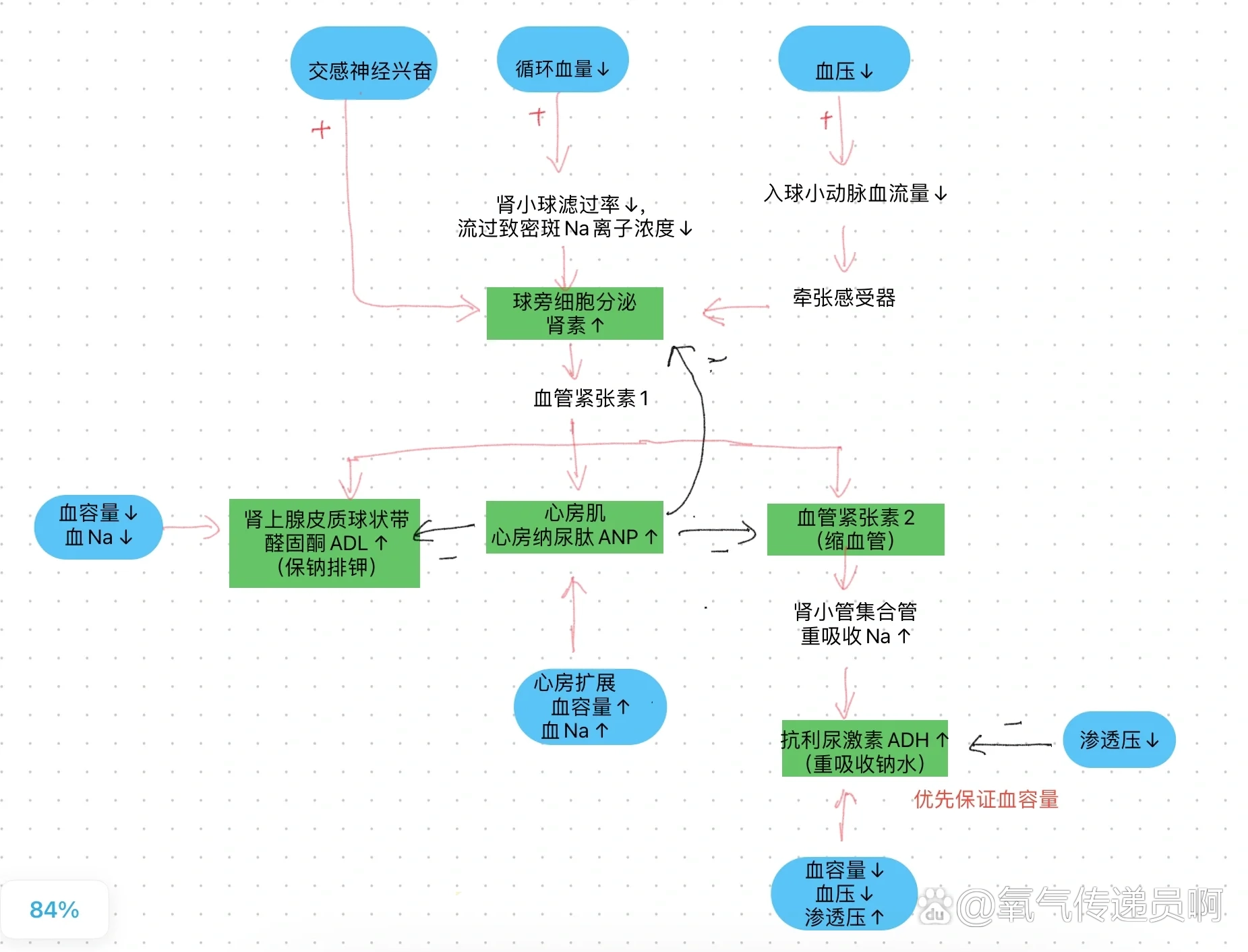 病理生理学raas系统