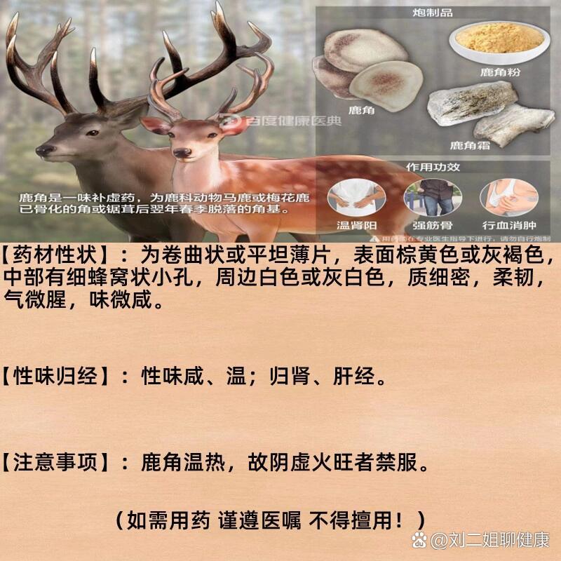 各种鹿角图片及价格图片