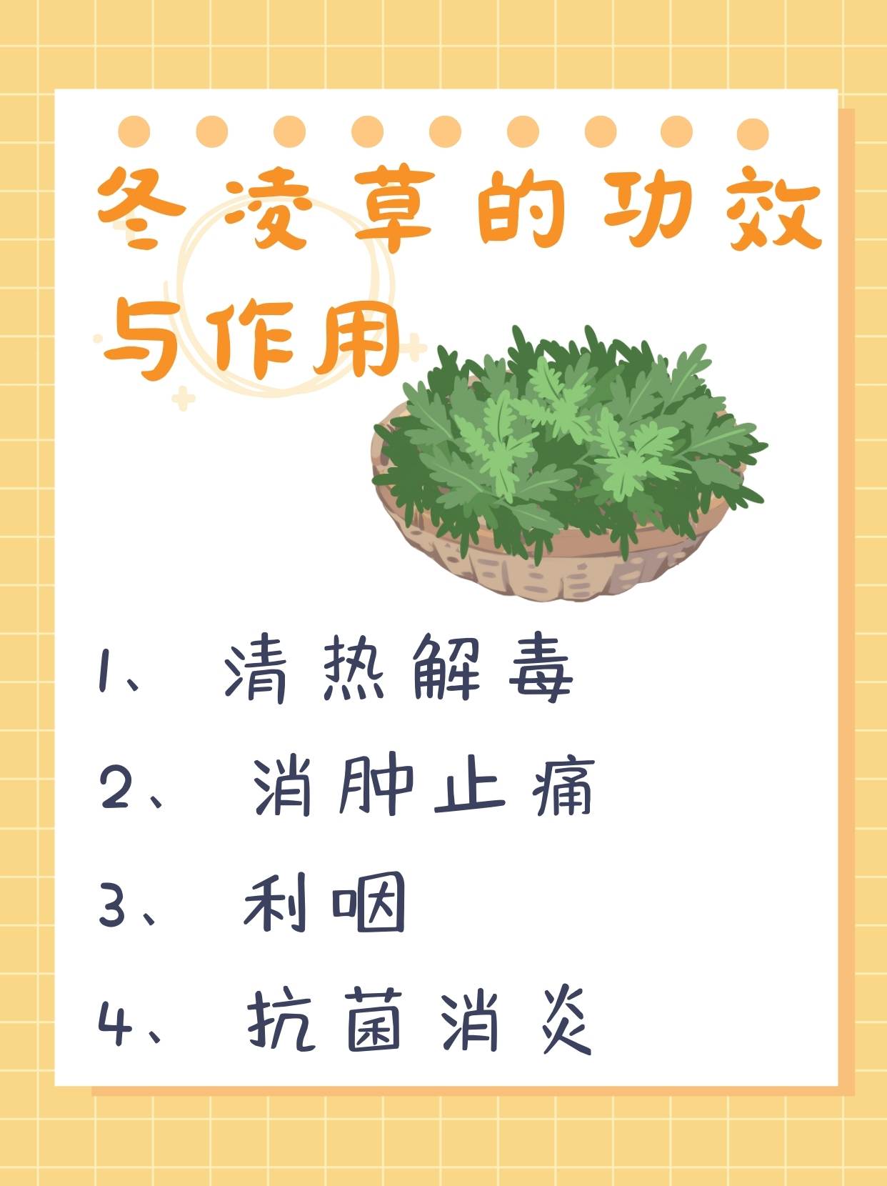 冬凌草的功效与作用,你了解吗?