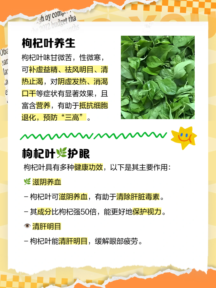 枸杞叶的功效与作用及禁忌