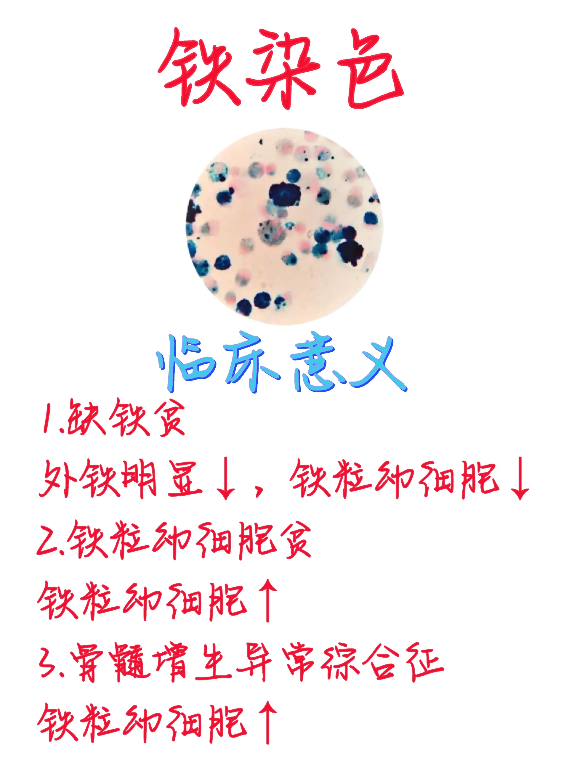 检验科🔥血细胞化学染色之