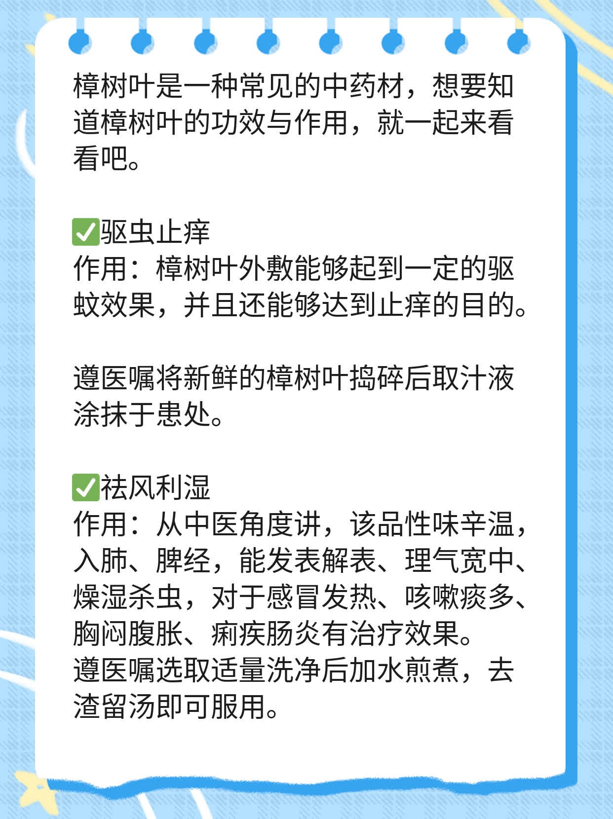 揭秘:樟树叶有哪些功效与作用