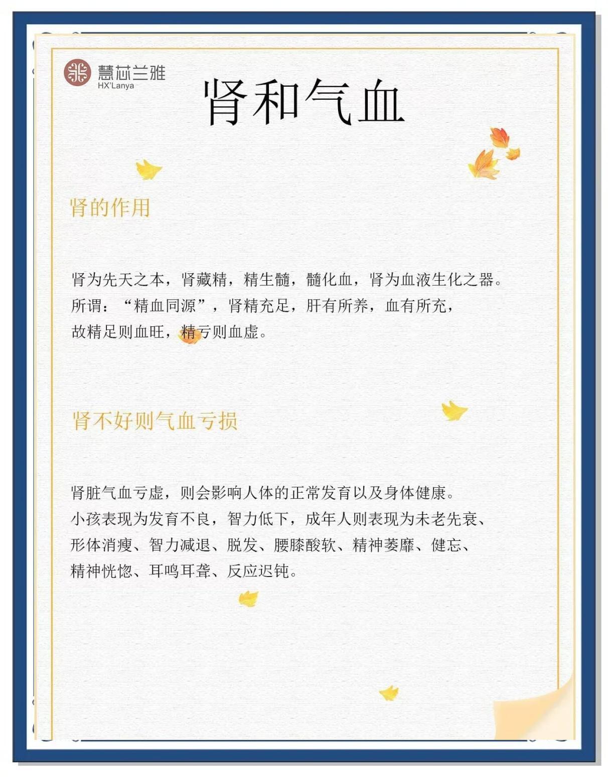 五脏六腑的运转与气血的关系