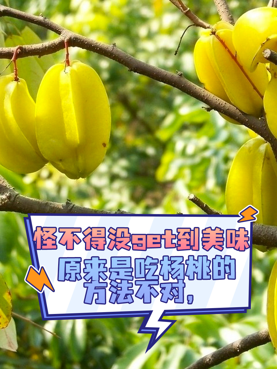 一切从杨桃开始的