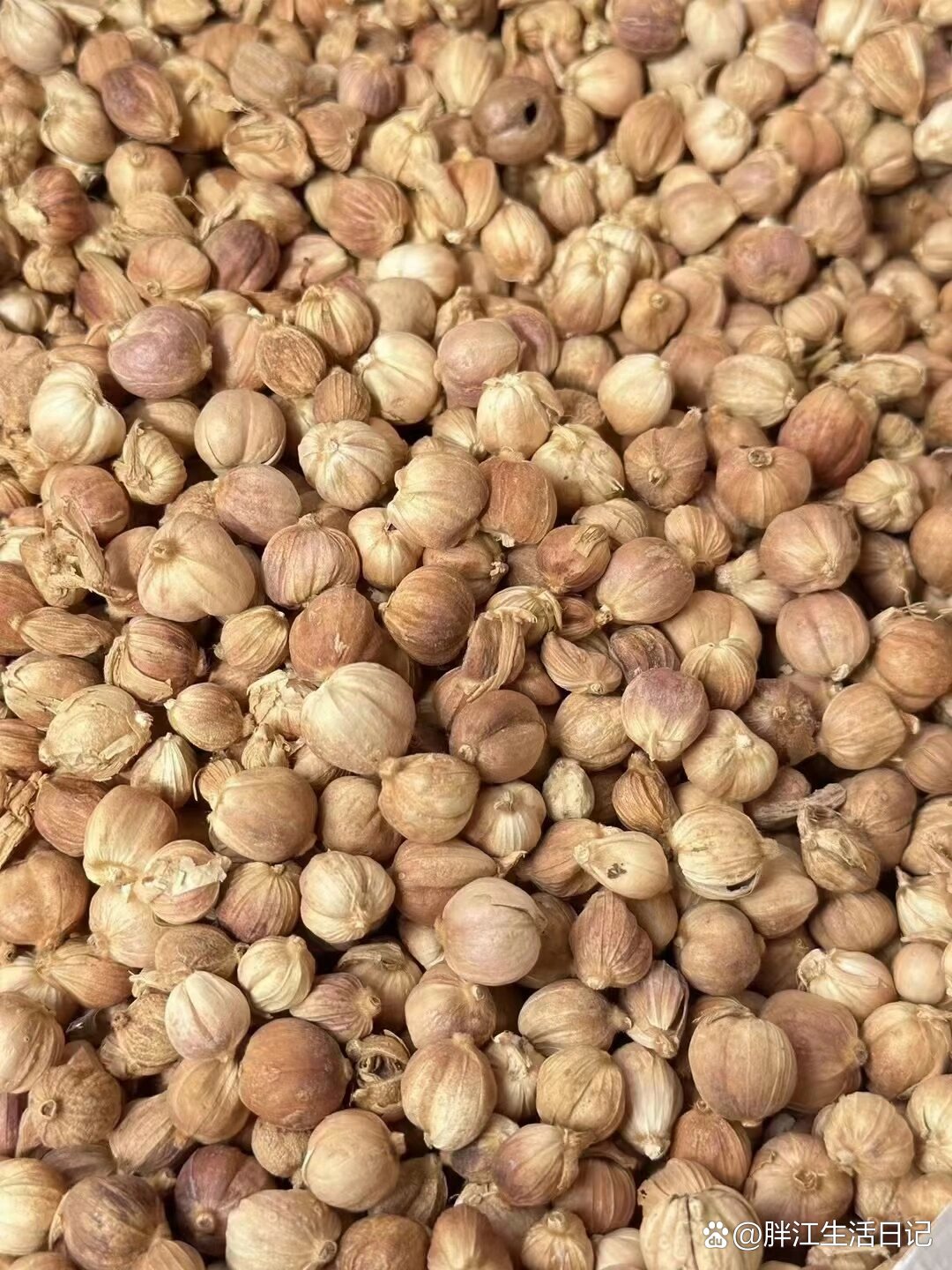 白蔻的功效用途