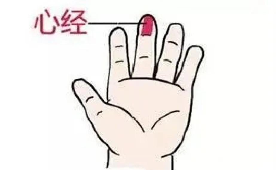手指与五脏对应关系