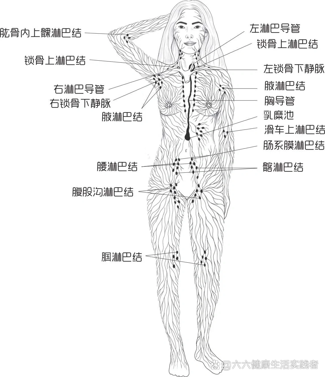 腋下淋巴结怎么治疗图片