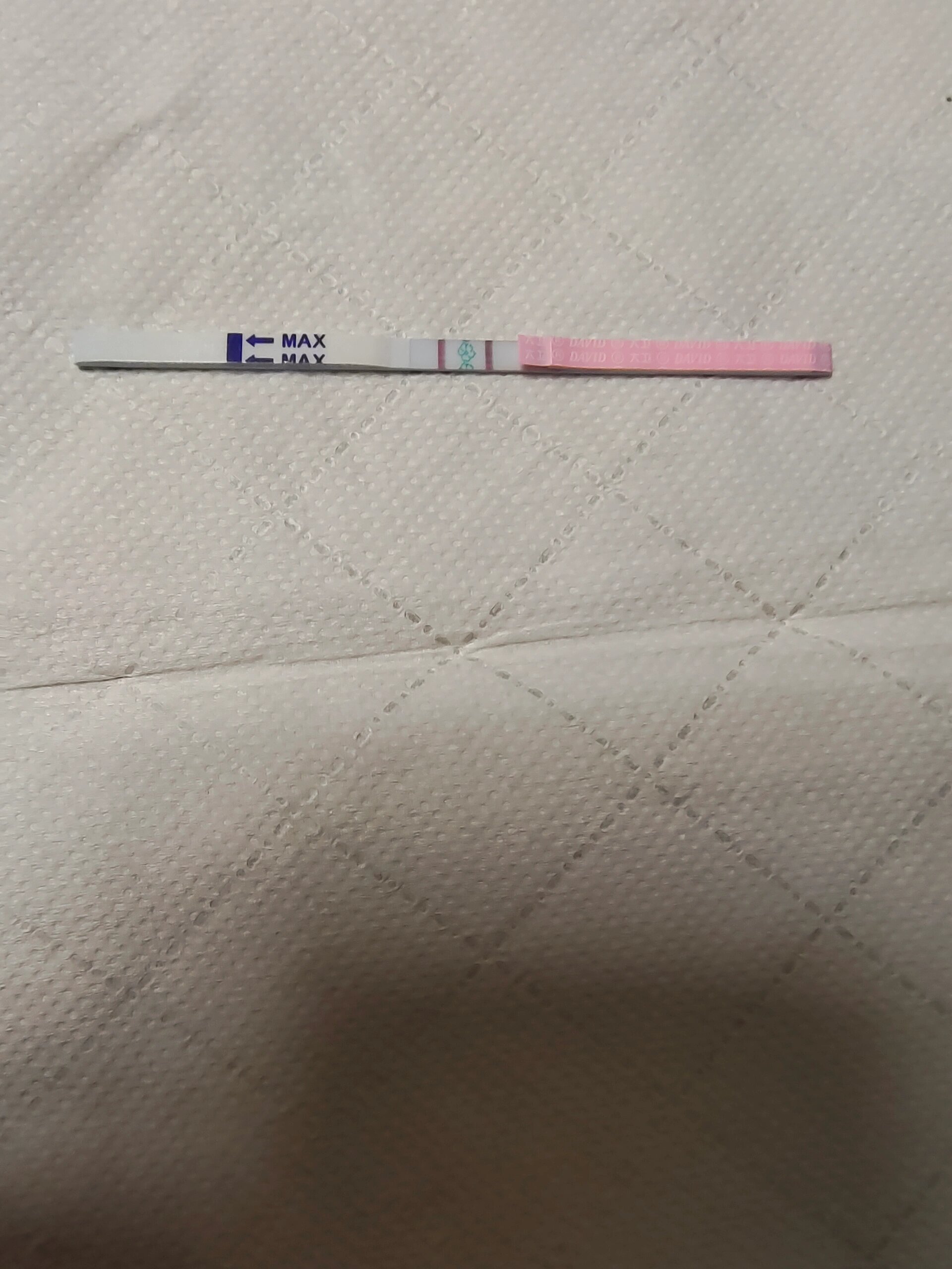 排卵试纸双杠是怀孕了吗?