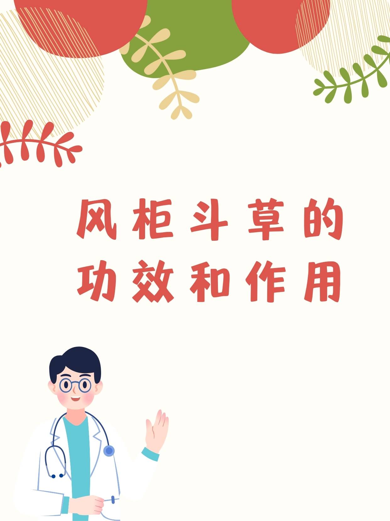 风柜斗草的功效和作用,你了解吗?