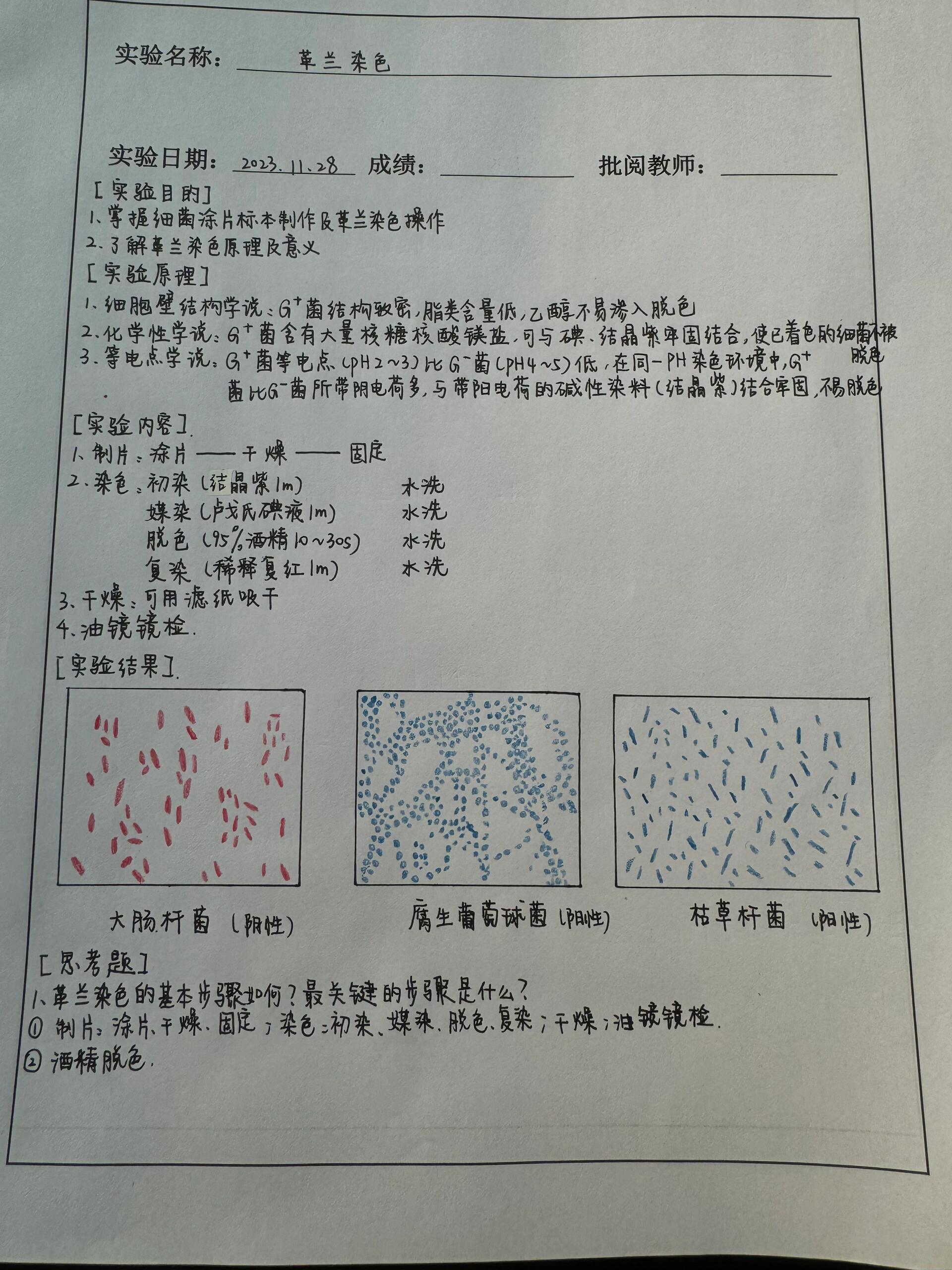 革兰氏染色涂片步骤图片