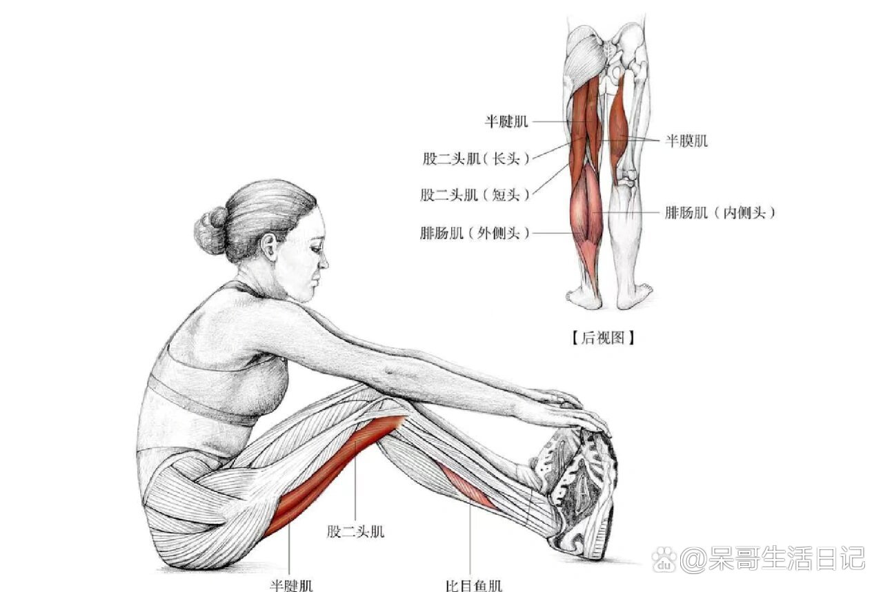 屈膝45度图片图片