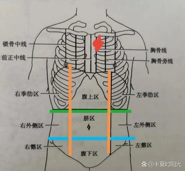 胸骨位置图片真人图图片