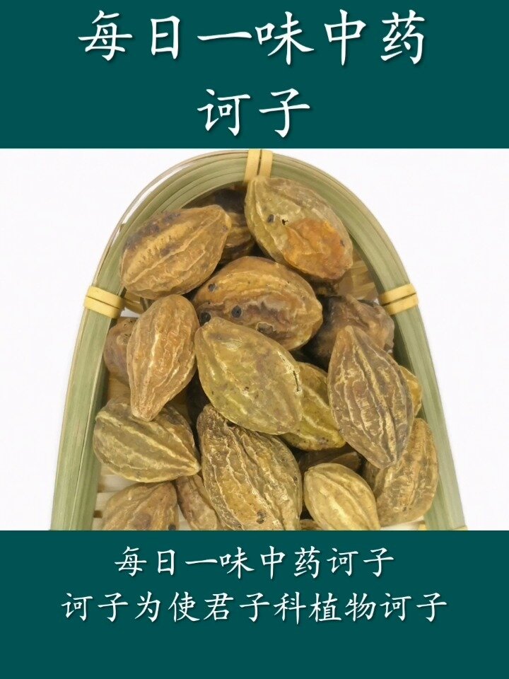 每日一味中药诃子