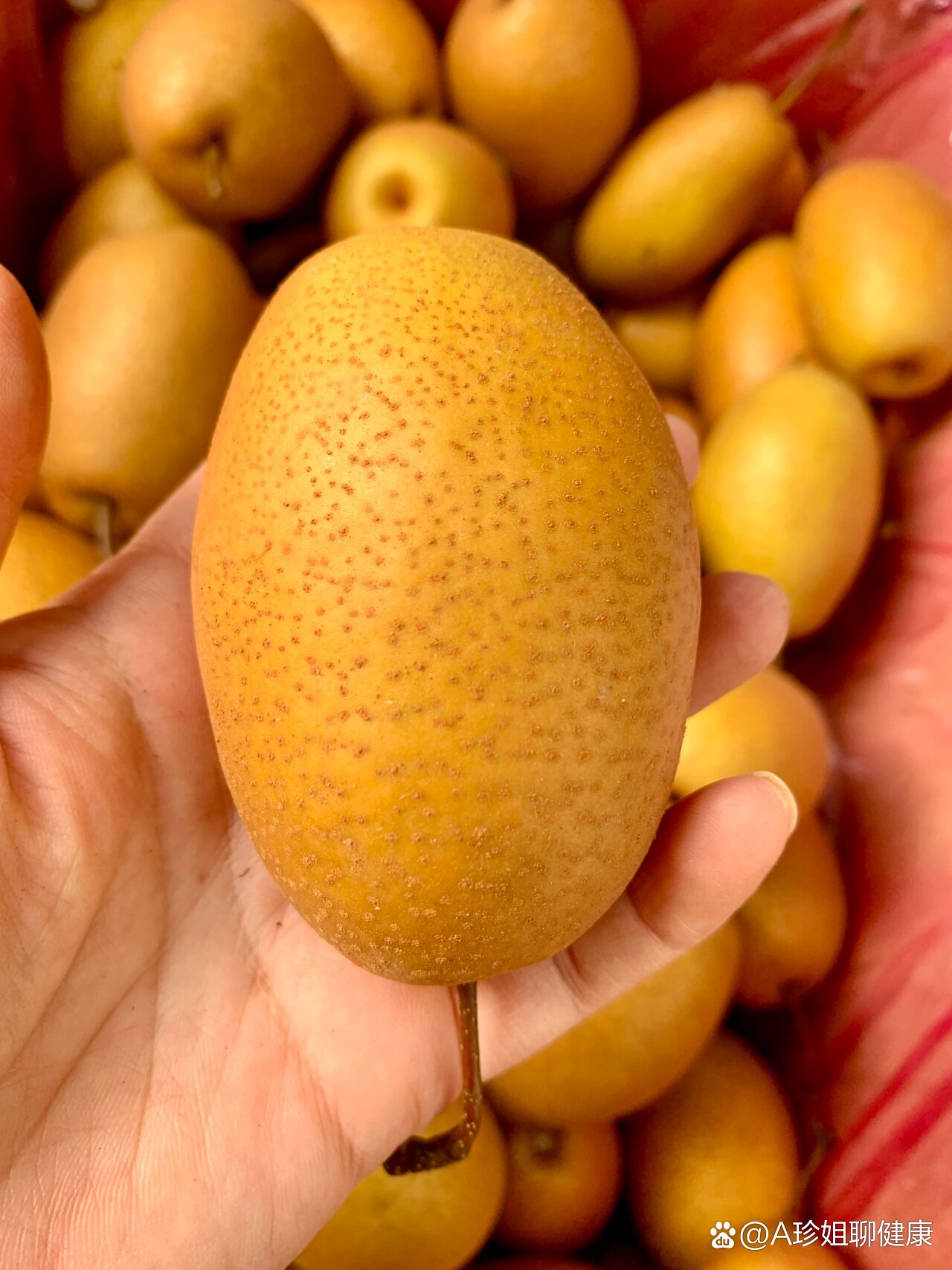 镇咳化痰润肺小沙梨