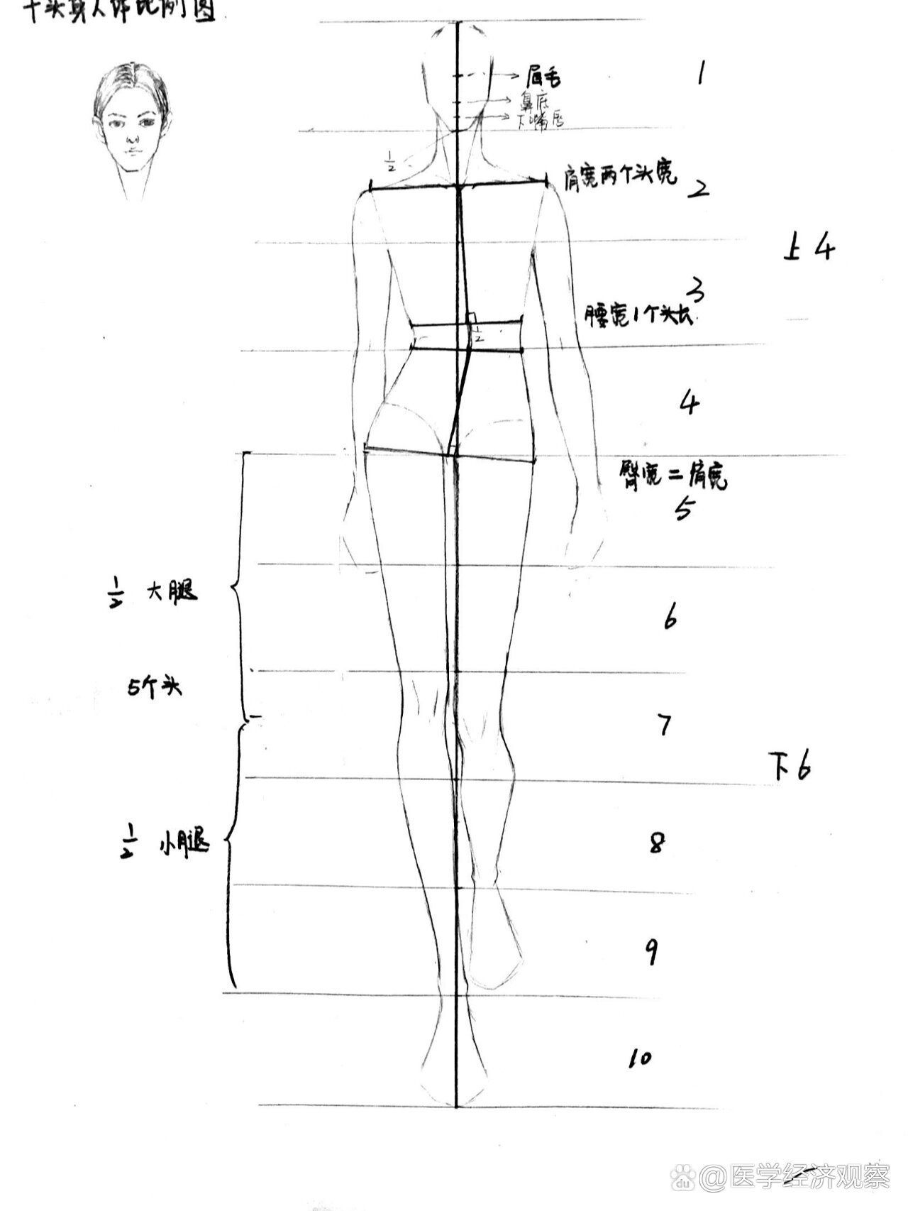 服装设计手绘十头身人体比例图