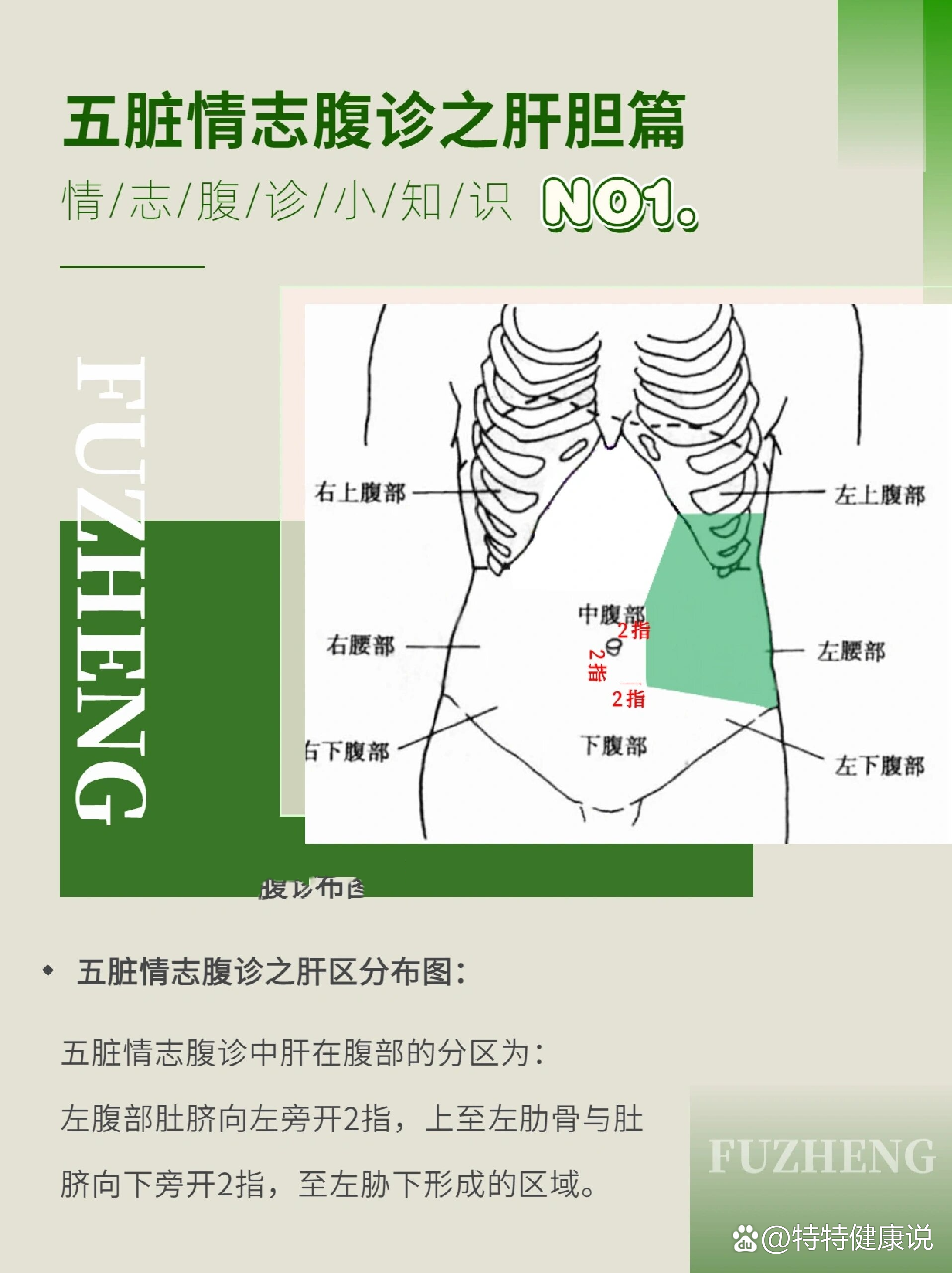 腹部向左旁开2指上至左肋骨