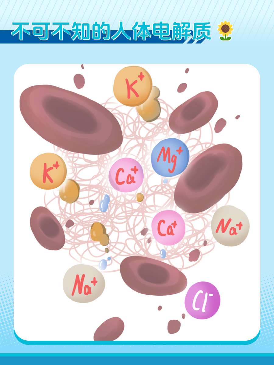 保持机能平衡,不可不知的人体电解质