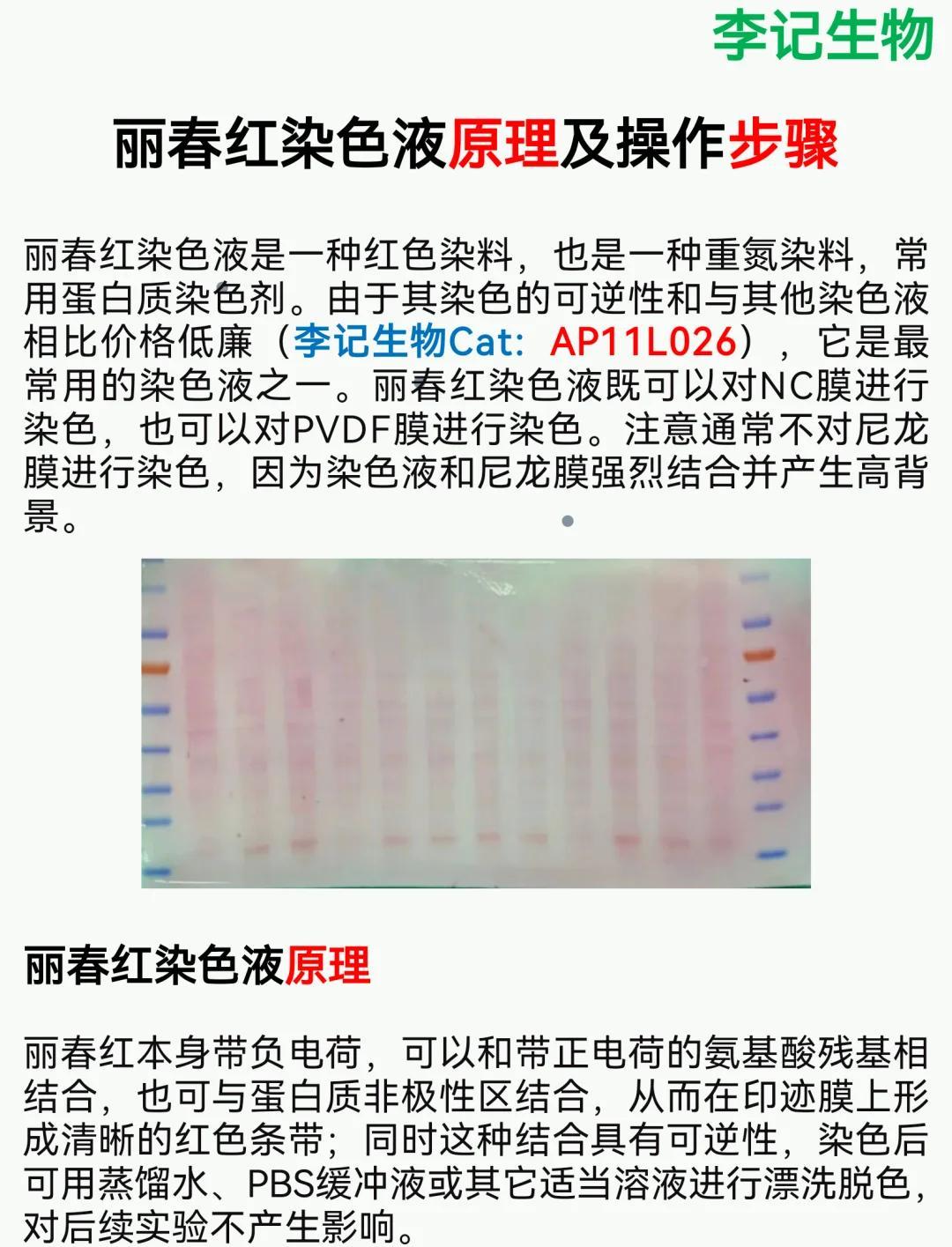 丽春红染色液：操作指南与注意事项