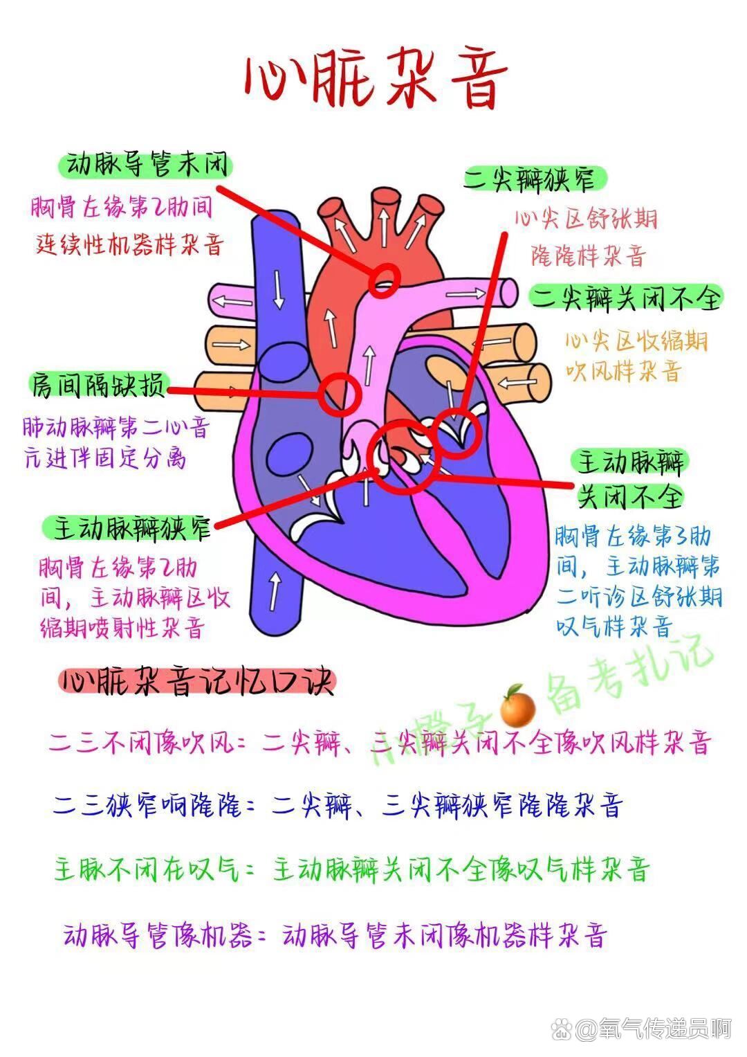 心脏瓣膜及血流示意图图片