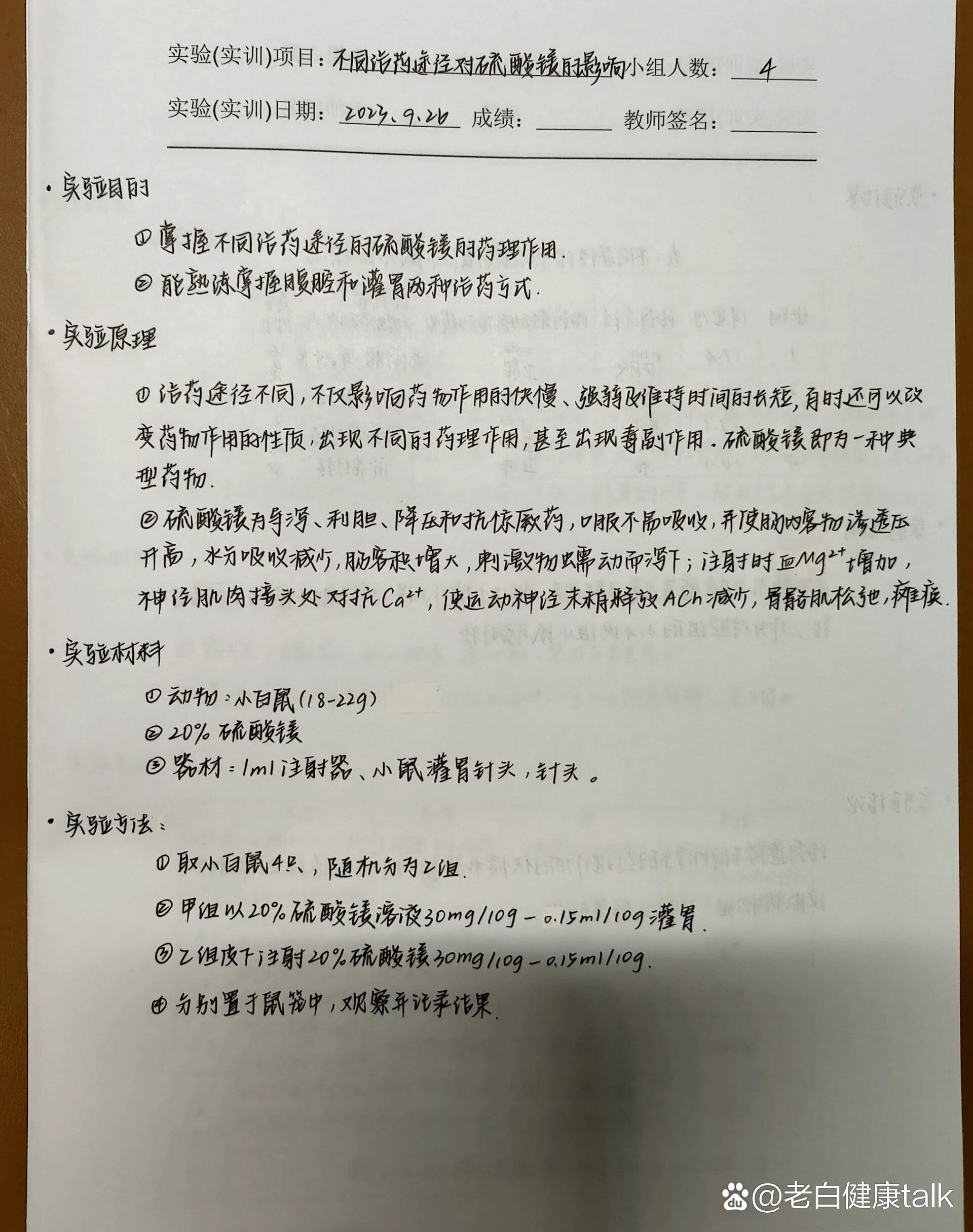 小鼠腹腔注射硫酸镁图片